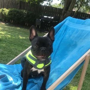 Meet your Posher, Karen